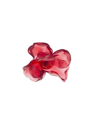 Anillo teterium